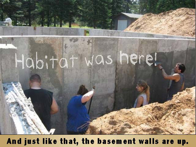 basement walls