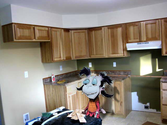 kitchen cabinets