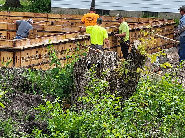 workers cutting wood