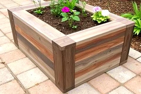 planter 4