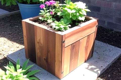 planter 5